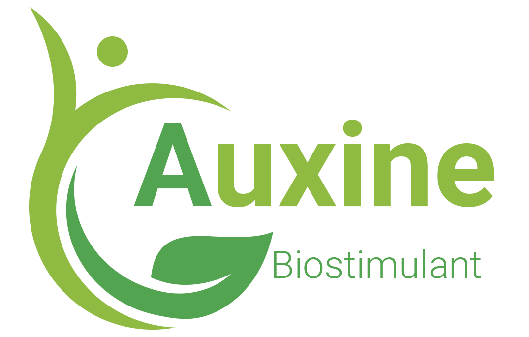 auxin